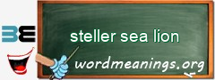 WordMeaning blackboard for steller sea lion